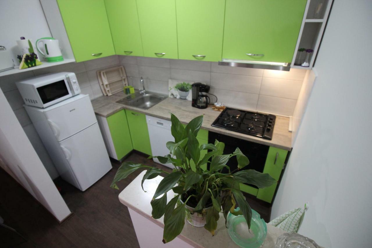 Apartmani Irena 노비비노돌스키 외부 사진